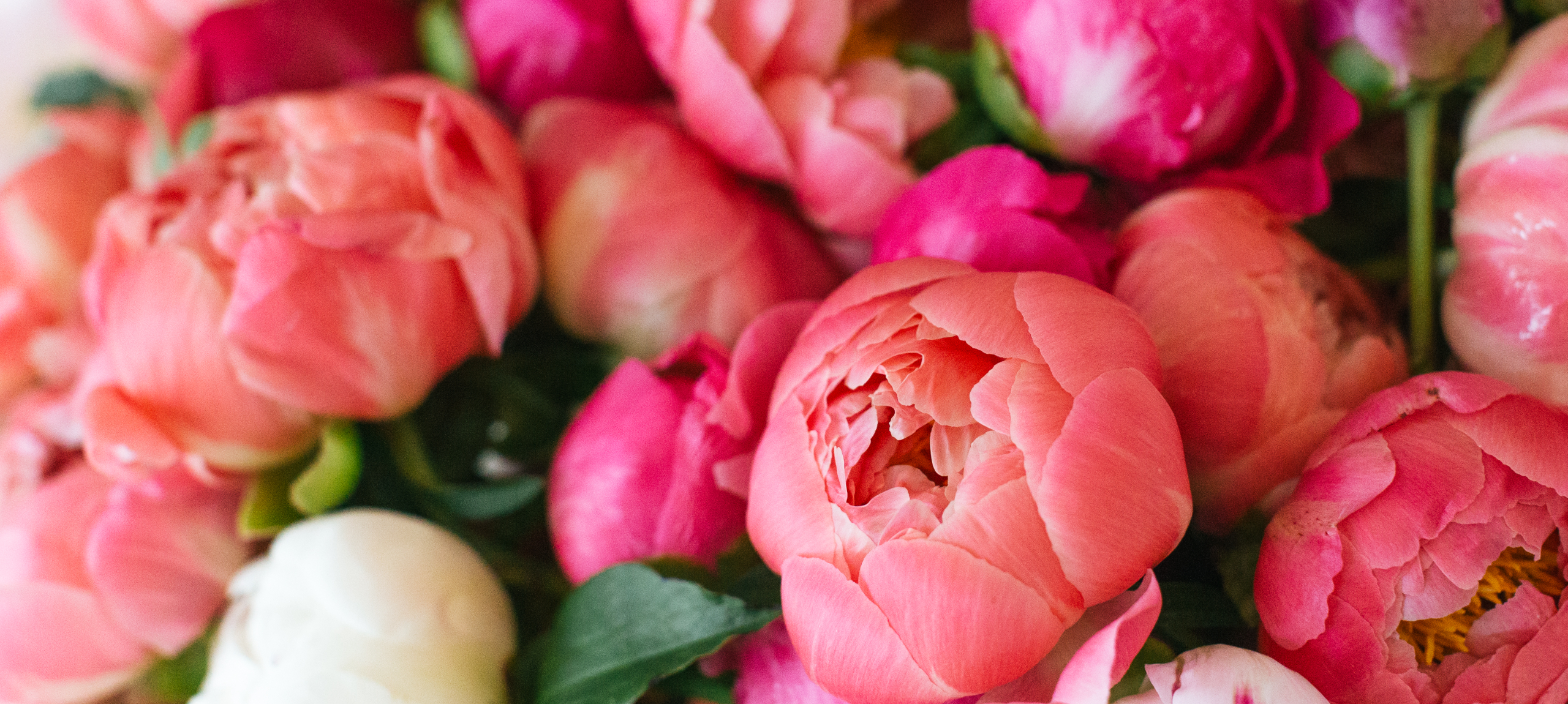 Kőszeg - Hotel Benedict - Pünkösdi hosszú hétvége Kőszegen