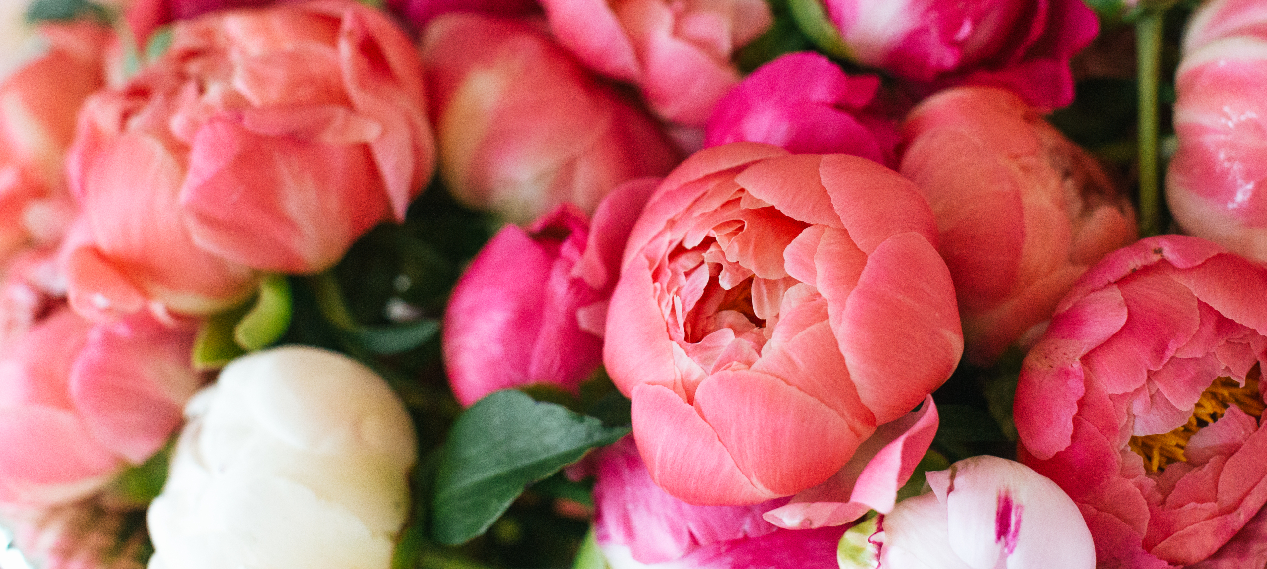 Eger - Hunguest Hotel Flóra - Oferta de Rusalii în Eger